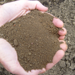 10mm Sieved Soil